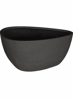 Ruvido D 93 H 50 cm - PlantenShop24 - 27-05-2025