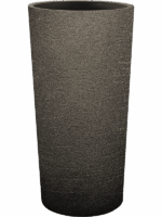 Terreno D 36 H 68 cm - PlantenShop24 - 27-05-2025