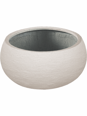 Terreno D 40 H 18 cm - PlantenShop24 - 01-09-2025