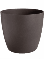 The Coffee Collection D 18 H 17 cm - PlantenShop24 - 07-05-2025