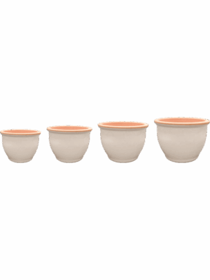 Tiny D 37 H 26 cm - PlantenShop24 - 20-05-2025