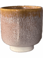 Tupelo D 17 H 17 cm - PlantenShop24 - 27-05-2025