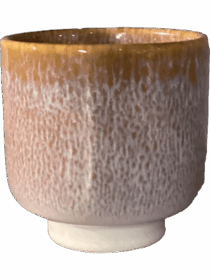 Tupelo D 17 H 17 cm - PlantenShop24 - 27-05-2025