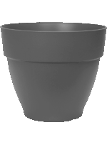 Vibia D 35 H 30 cm - PlantenShop24 - 22-05-2025