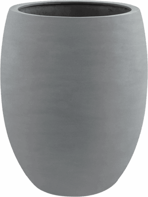Argento D 55 H 68 cm - PlantenShop24 - 19-06-2025