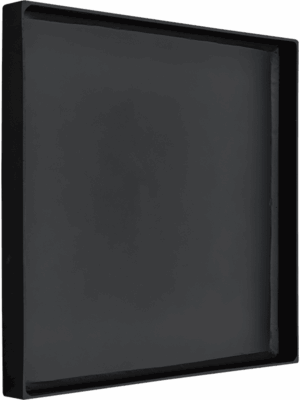 Argento D 90 H 5 cm - PlantenShop24 - 23-06-2025