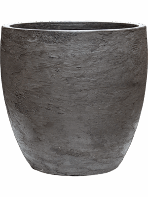 Baq Algar D 34 H 34 cm - PlantenShop24 - 12-06-2025