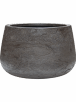 Baq Algar D 37 H 24 cm - PlantenShop24 - 12-06-2025