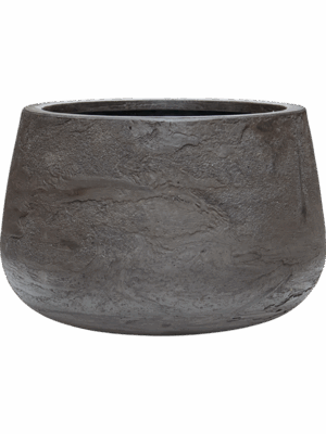 Baq Algar D 37 H 24 cm - PlantenShop24 - 12-06-2025
