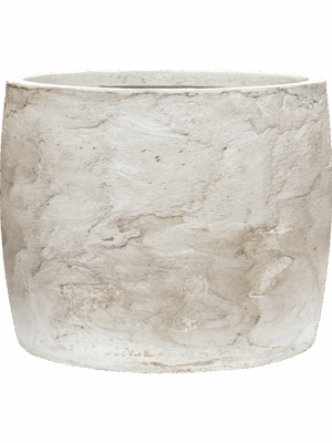 Baq Algar D 41 H 33 cm - PlantenShop24 - 12-06-2025
