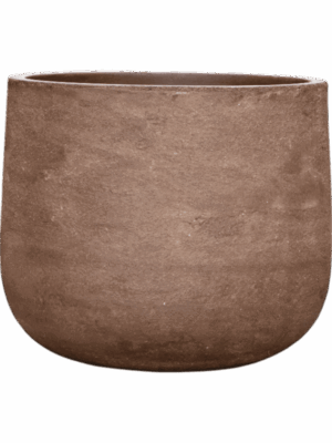 Baq Algar D 44 H 36 cm - PlantenShop24 - 09-06-2025
