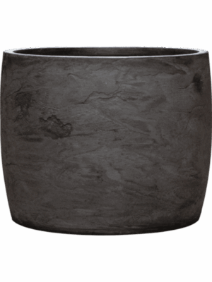 Baq Algar D 50 H 40 cm - PlantenShop24 - 09-06-2025