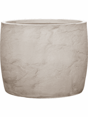 Baq Algar D 50 H 40 cm - PlantenShop24 - 09-06-2025