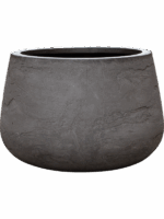 Baq Algar D 51 H 34 cm - PlantenShop24 - 11-06-2025