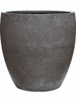 Baq Algar D 54 H 54 cm - PlantenShop24 - 11-06-2025