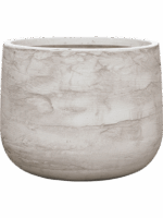 Baq Algar D 55 H 43 cm - PlantenShop24 - 09-06-2025