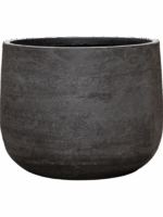 Baq Algar D 55 H 43 cm - PlantenShop24 - 11-06-2025