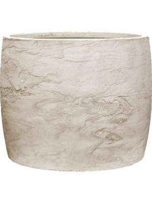 Baq Algar D 60 H 48 cm - PlantenShop24 - 12-06-2025