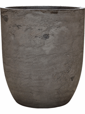 Baq Algar D 64 H 73 cm - PlantenShop24 - 13-06-2025
