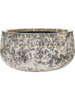 Baq Atlas D 50 H 25 cm - PlantenShop24 - 02-06-2025