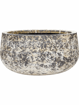 Baq Atlas D 50 H 25 cm - PlantenShop24 - 02-06-2025
