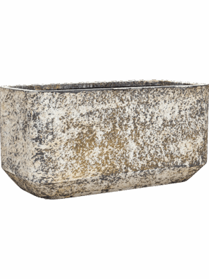 Baq Atlas D 50 H 50 cm - PlantenShop24 - 02-06-2025