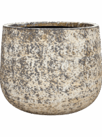 Baq Atlas D 55 H 43 cm - PlantenShop24 - 02-06-2025