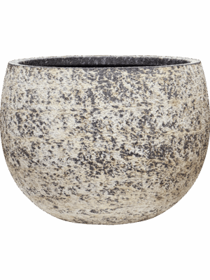 Baq Atlas D 57 H 42 cm - PlantenShop24 - 02-06-2025
