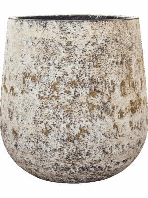 Baq Atlas D 72 H 76 cm - PlantenShop24 - 03-06-2025