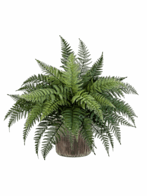 Fern In Baq Luxe Lite Universe Waterfall D 23 H 68 cm - PlantenShop24 - 13-06-2025