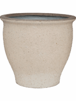 Mediterranean D 52 H 47 cm - PlantenShop24 - 20-06-2025