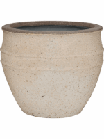 Mediterranean D 53 H 45 cm - PlantenShop24 - 20-06-2025