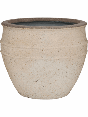 Mediterranean D 53 H 45 cm - PlantenShop24 - 20-06-2025