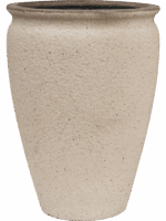 Mediterranean D 53 H 68 cm - PlantenShop24 - 20-06-2025