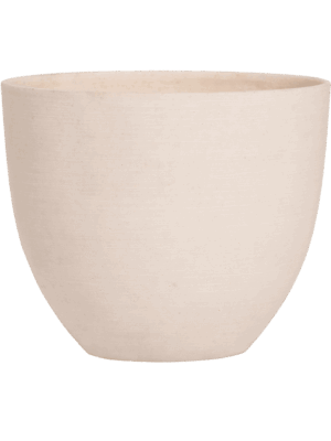 Refined D 18 H 15 cm - PlantenShop24 - 24-06-2025