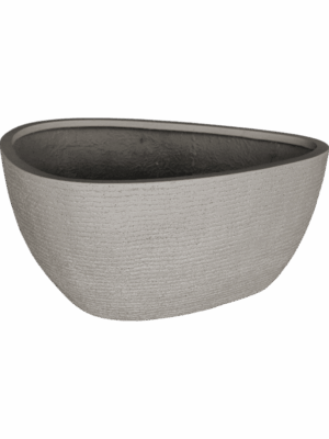 Ruvido D 93 H 50 cm - PlantenShop24 - 30-05-2025