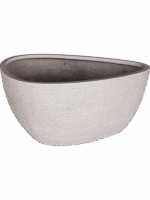Ruvido D 93 H 50 cm - PlantenShop24 - 30-05-2025
