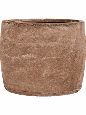 Baq Algar D 41 H 33 cm - PlantenShop24 - 10-07-2025
