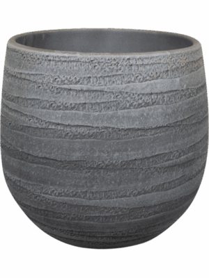 Joyce D 15 H 13 cm - PlantenShop24 - 11-07-2025