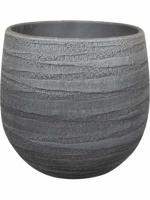 Joyce D 18 H 16 cm - PlantenShop24 - 11-07-2025
