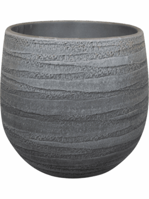 Joyce D 26 H 26 cm - PlantenShop24 - 11-07-2025