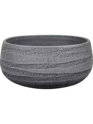 Joyce D 28 H 13 cm - PlantenShop24 - 11-07-2025