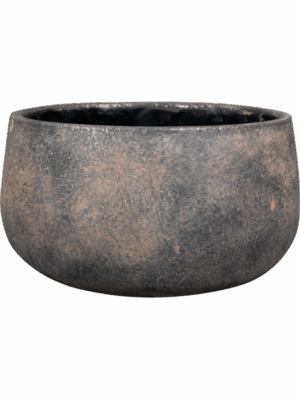 Jules D 21 H 11 cm - PlantenShop24 - 11-07-2025