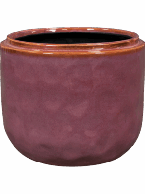 Mabel D 15 H 13 cm - PlantenShop24 - 16-07-2025