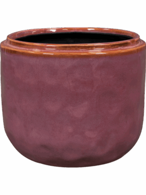 Mabel D 18 H 15 cm - PlantenShop24 - 16-07-2025