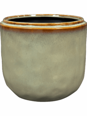 Mabel D 21 H 17 cm - PlantenShop24 - 16-07-2025