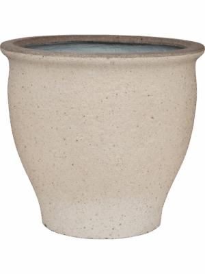Mediterranean D 42 H 38 cm - PlantenShop24 - 10-07-2025