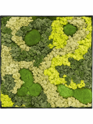 Moss Painting D 60 H 5 cm - PlantenShop24 - 10-07-2025