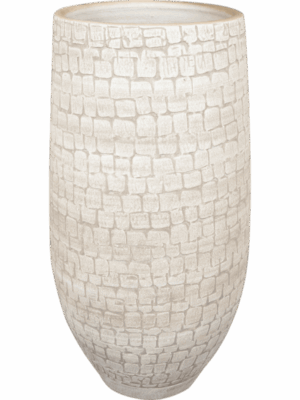 Renzo D 27 H 50 cm - PlantenShop24 - 11-07-2025