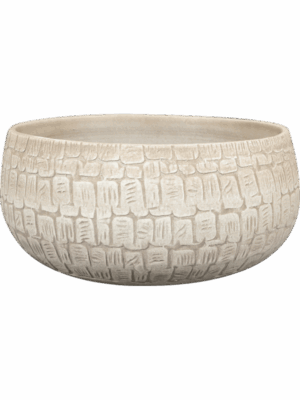 Renzo D 28 H 13 cm - PlantenShop24 - 11-07-2025